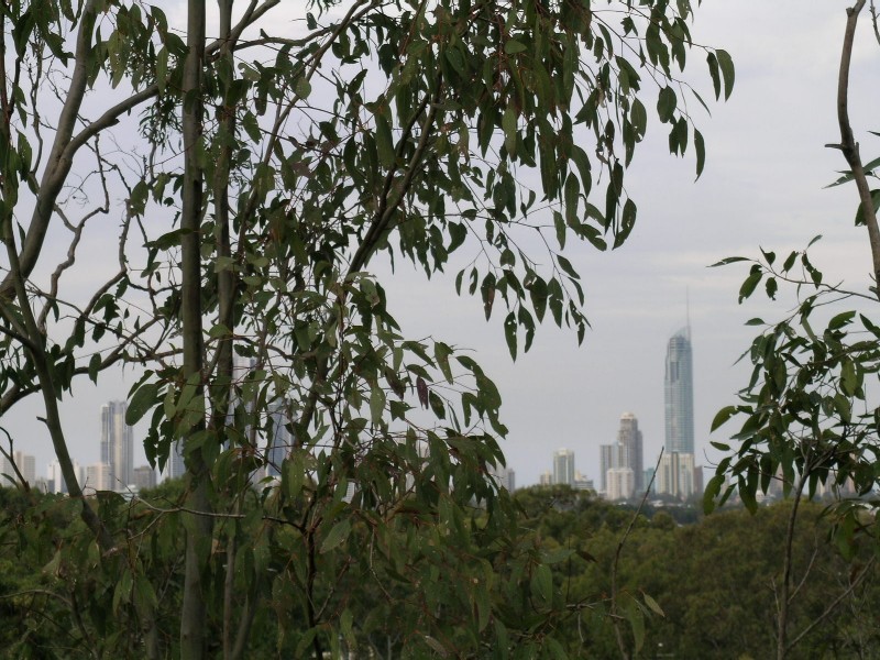 267 Ashmore Road, Benowa QLD 4217