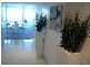 Unit 3104 Q1, 9 Hamilton Avenue, Surfers Paradise QLD 4217