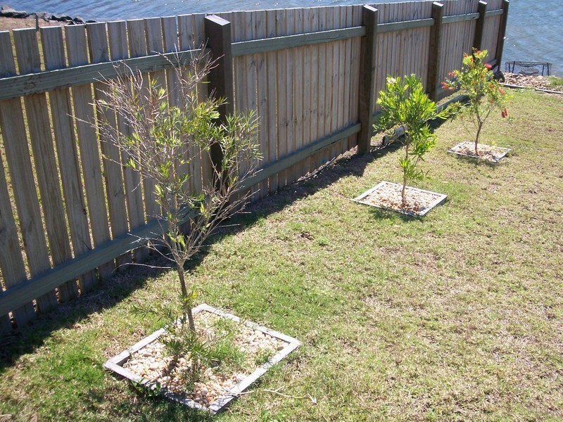 11 Lady Penrhyn Drive, Eli Waters QLD 4655