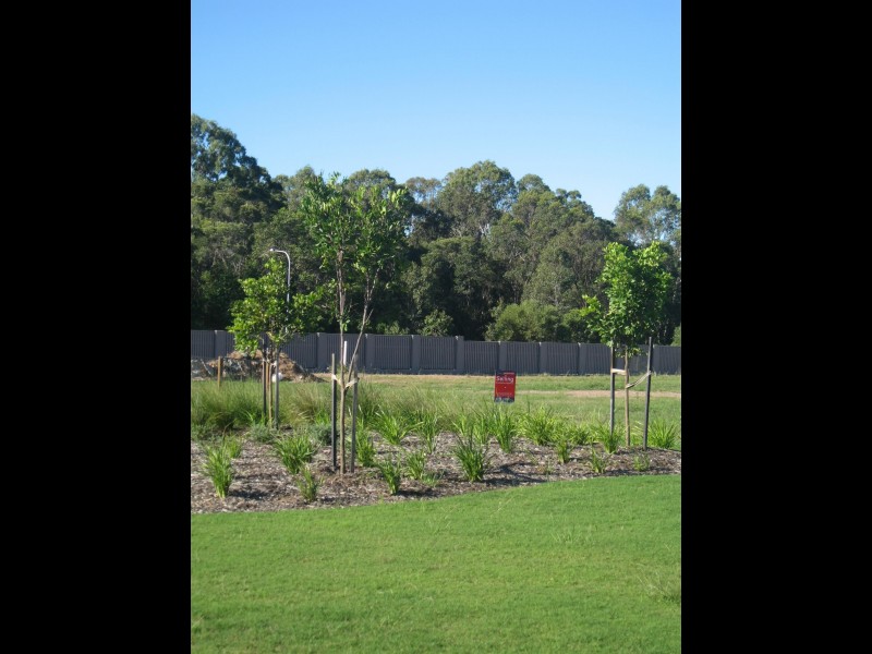 Lot 253 Parklands Boulevard, Wondunna QLD 4655