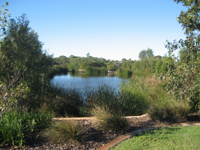 Lot 253 Parklands Boulevard, Wondunna QLD 4655