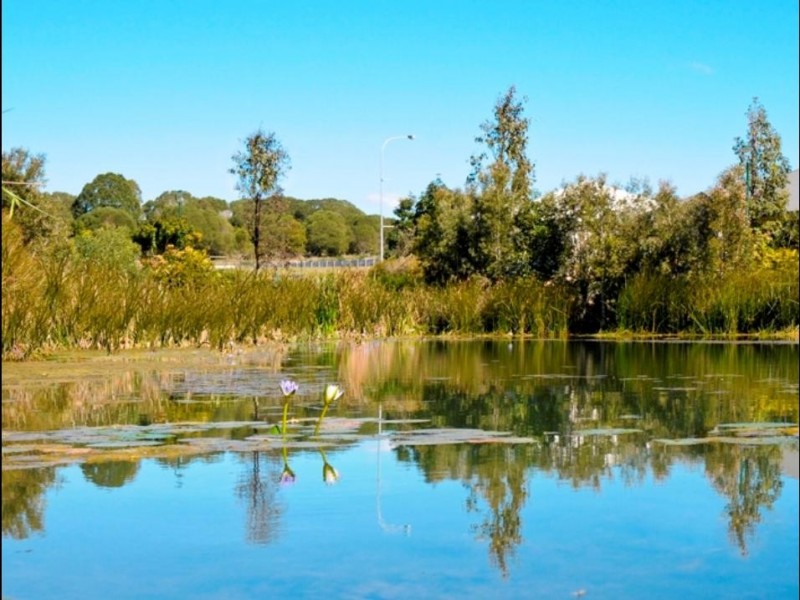 Lot 189 Parklands Boulevard, Wondunna QLD 4655