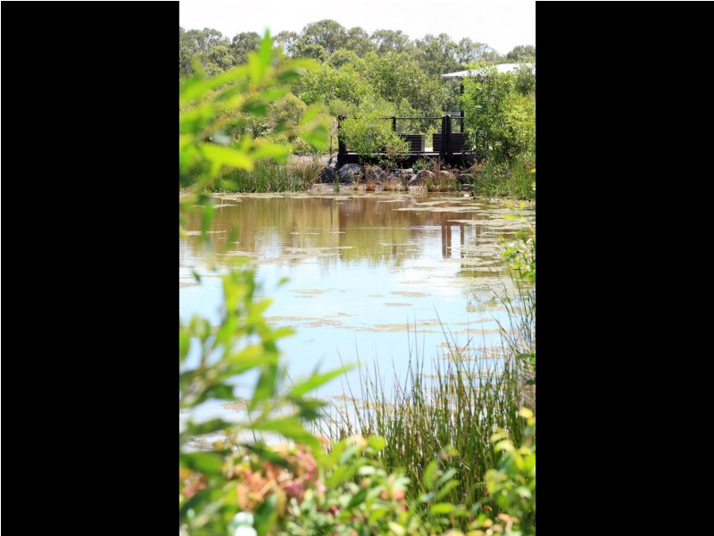 Lot 223 Parklands Boulevard, Wondunna QLD 4655