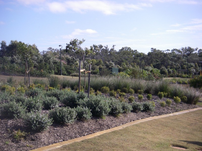 Lot 250 Parklands Boulevard, Wondunna QLD 4655