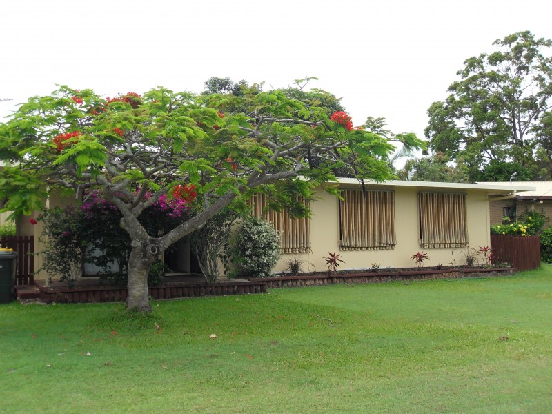 29 Paradise Street, Point Vernon QLD 4655