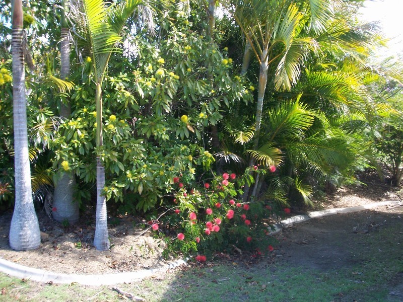 Urraween QLD 4655