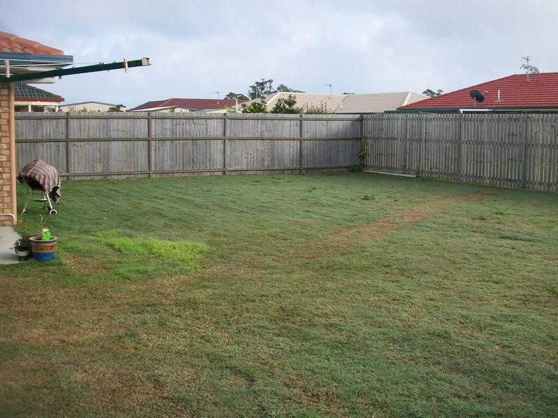 Point Vernon QLD 4655