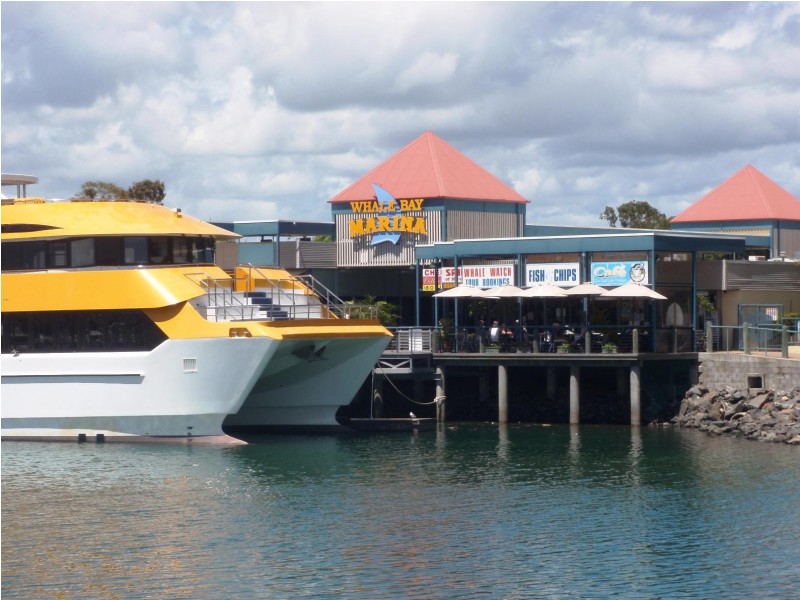 6 Rialto Ct, Urangan QLD 4655