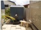 281/7 Bay Drive, Pialba QLD 4655