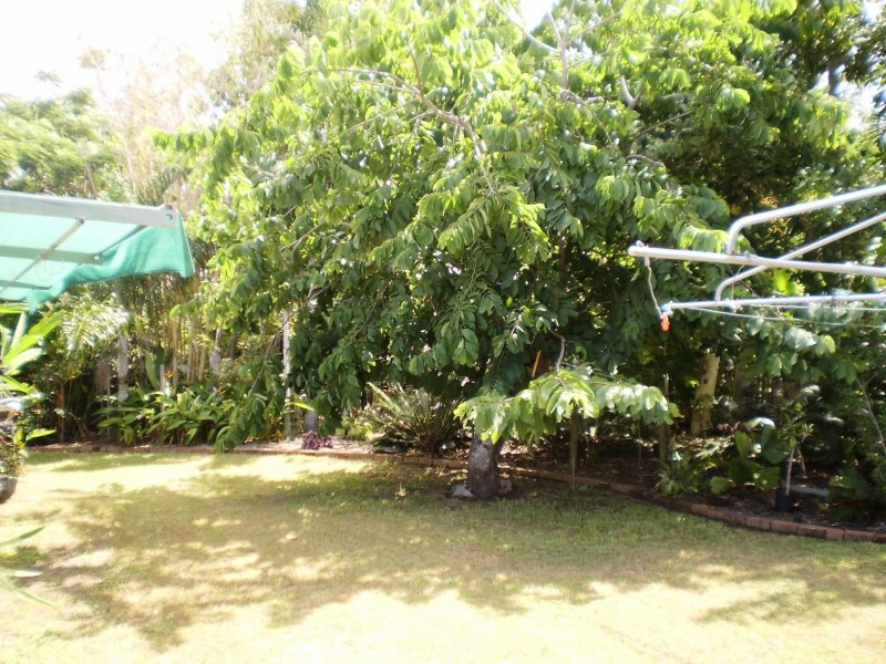 225 Esplanade, Pialba QLD 4655