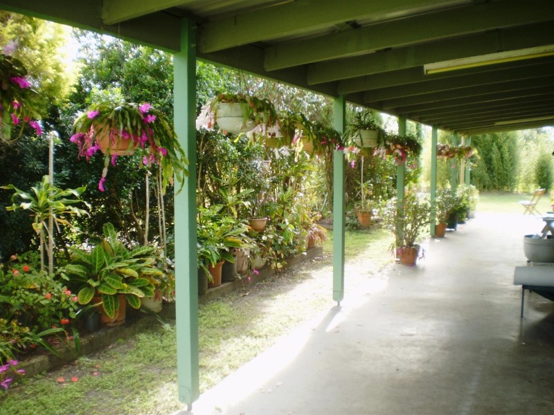 31 Parke Ave, Sunshine Acres QLD 4655