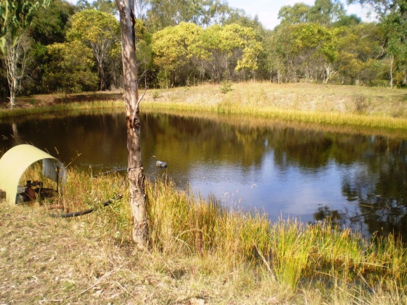 31 Parke Ave, Sunshine Acres QLD 4655