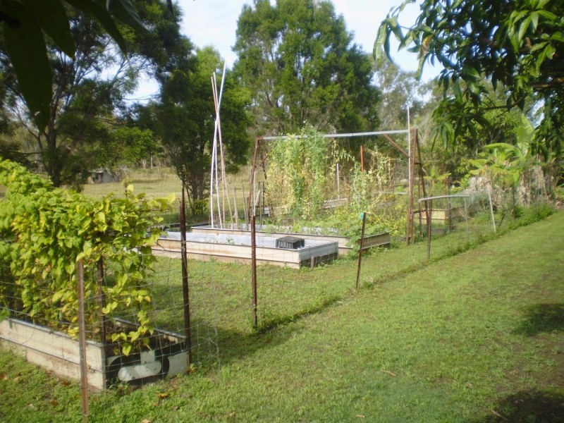 31 Parke Ave, Sunshine Acres QLD 4655