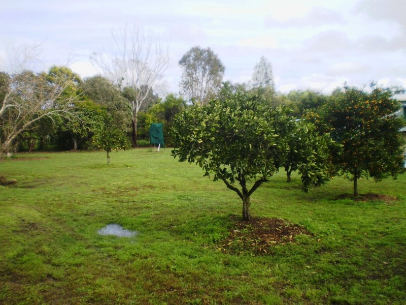 31 Parke Ave, Sunshine Acres QLD 4655