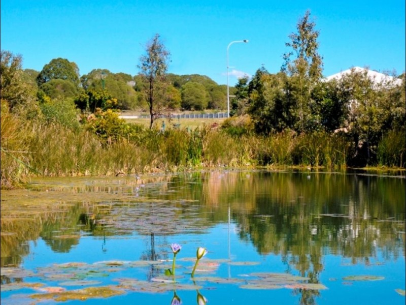 Lot 239 Parklands Estate, Wondunna QLD 4655