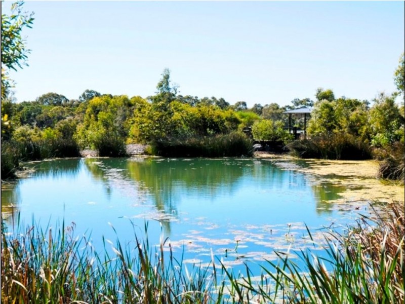 Lot 203 Parklands Estate, Wondunna QLD 4655