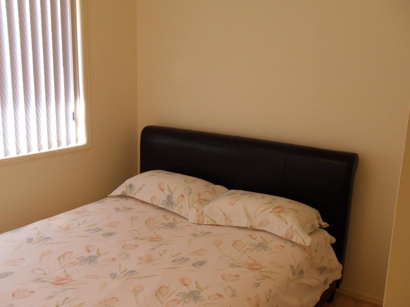 115 Bideford St, Torquay QLD 4655