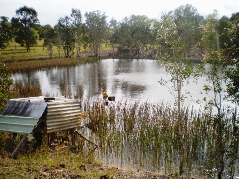 31 Parke Ave, Sunshine Acres QLD 4655