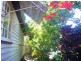 Torquay QLD 4655