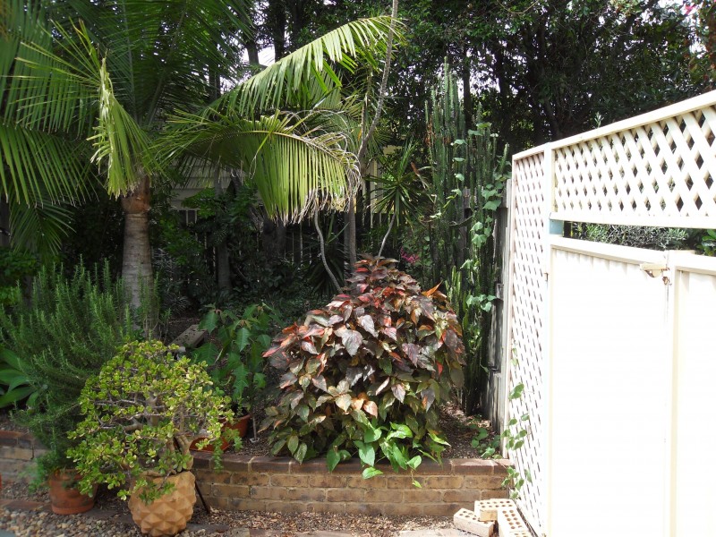 16 Preston Street, Point Vernon QLD 4655