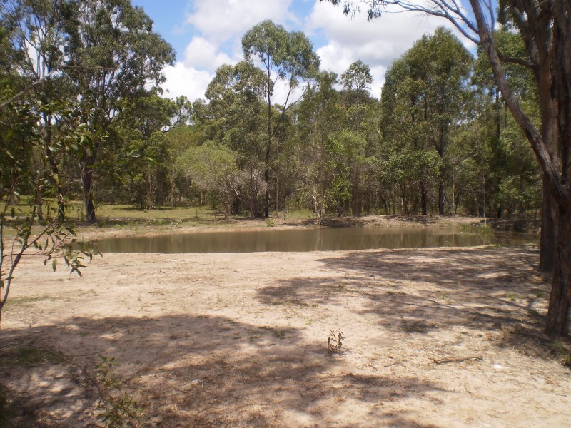 343a Condor Drive, Sunshine Acres QLD 4655