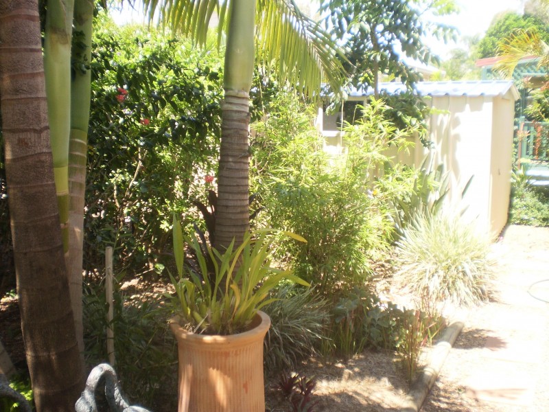9 Wayamba Way, Torquay QLD 4655