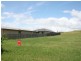 20 Teresa St, Nikenbah QLD 4655