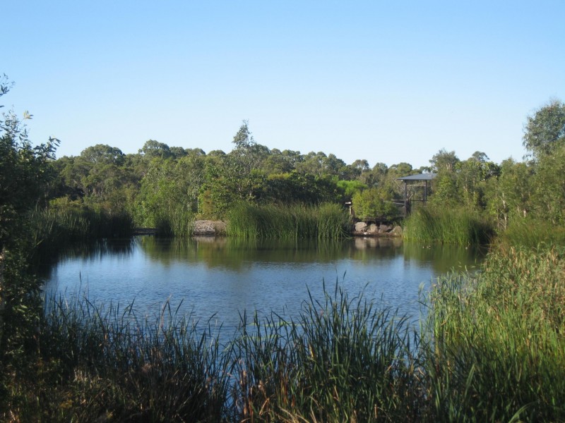 Lot 130 Parkview Street, Wondunna QLD 4655