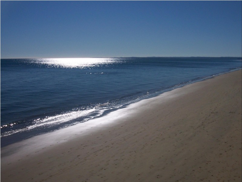 115 Bideford St, Torquay QLD 4655