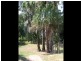 3 Nautilus Court, Dundowran QLD 4655