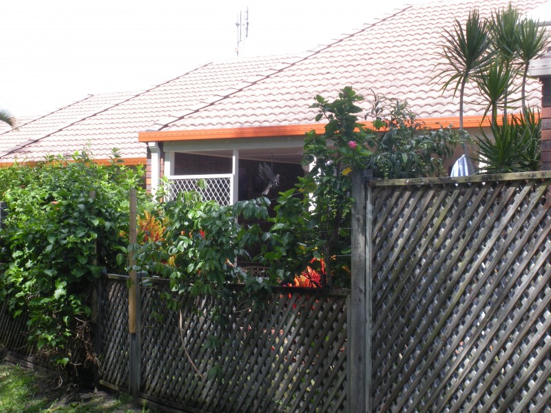 5/123 Freshwater Street, Torquay QLD 4655