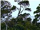 Torquay QLD 4655