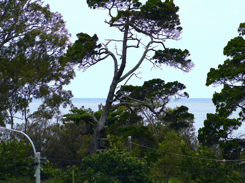 Torquay QLD 4655