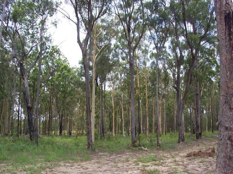 Lots 4-9 Blairs Lane , Kempsey NSW 2440