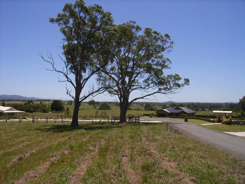 Kempsey NSW 2440