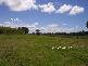 Kempsey NSW 2440