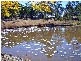 Kempsey NSW 2440