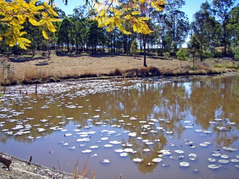 Kempsey NSW 2440