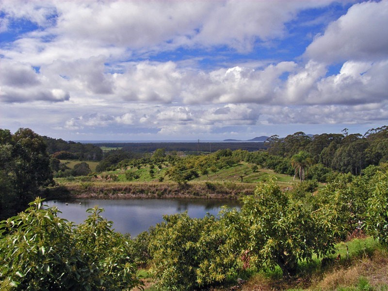 Yarrahapinni NSW 2441