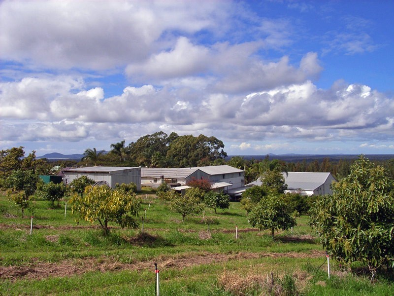Yarrahapinni NSW 2441