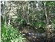 Kempsey NSW 2440