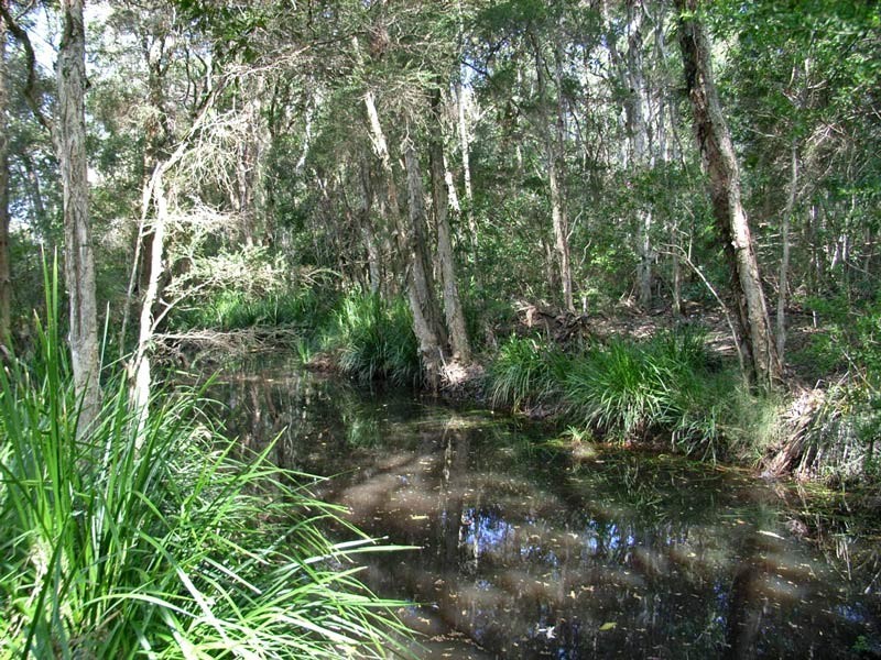 Kempsey NSW 2440