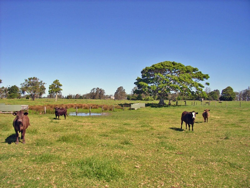 Kempsey NSW 2440