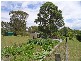 Kempsey NSW 2440