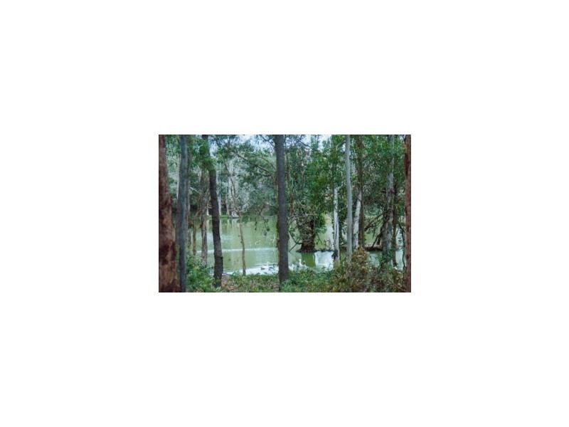 Murrumba Downs QLD 4503