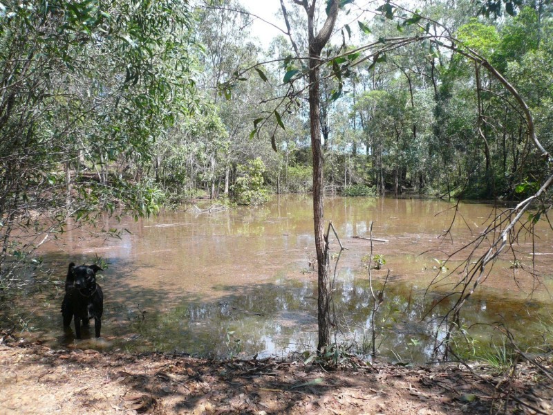 Kholo QLD 4306