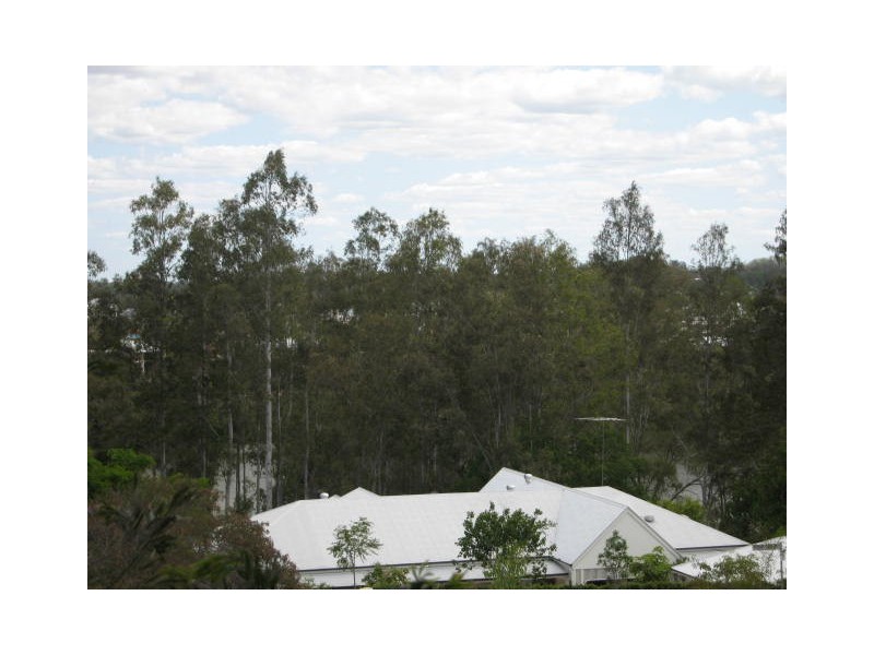 Fig Tree Pocket QLD 4069