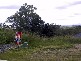 Pullenvale QLD 4069
