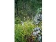 Upper Brookfield QLD 4069