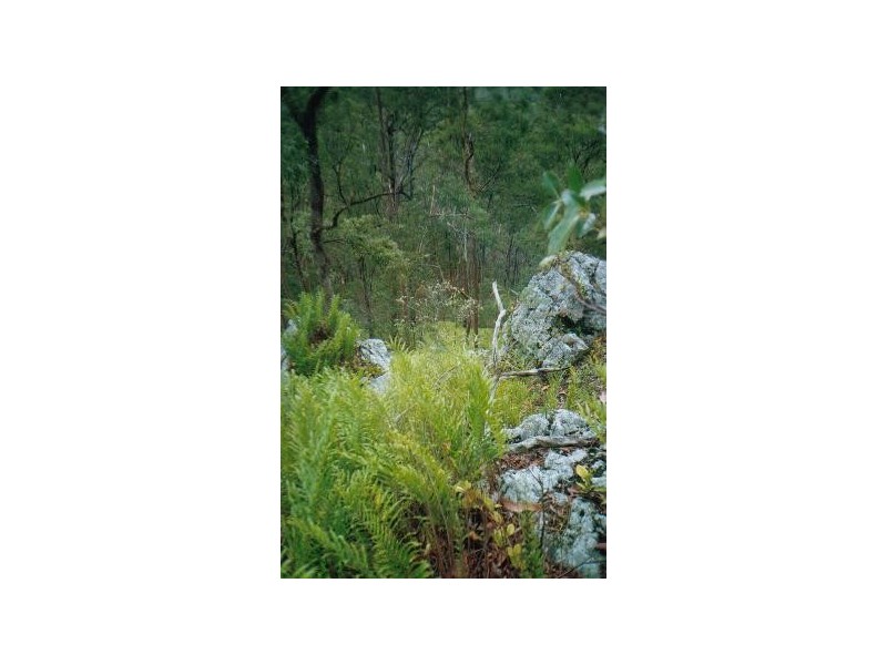 Upper Brookfield QLD 4069